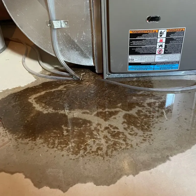 Pipe Burst and Leak Restoration in Letcher County, KY