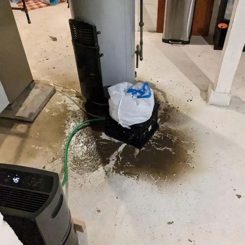 Sewage Backup Cleanup Service in Letcher County, KY